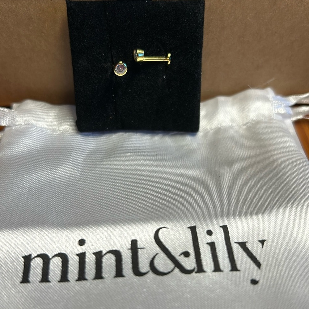mint&lily-bezel studs 16g, 18K gold plated, size 4mm, flat back design NWOT